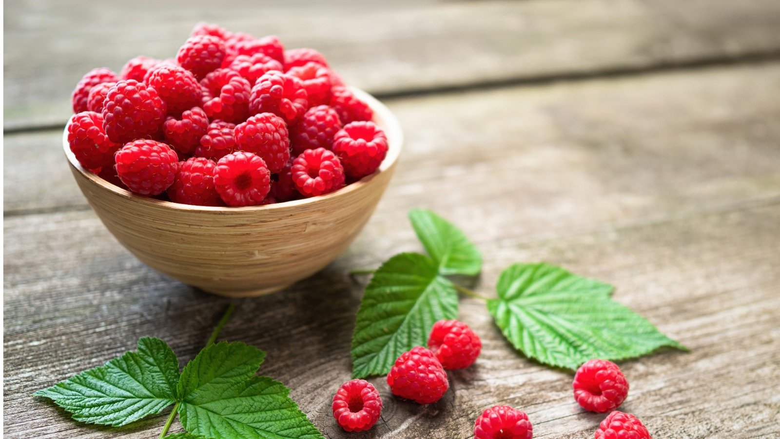 Variedad que enriquece hábitos saludables