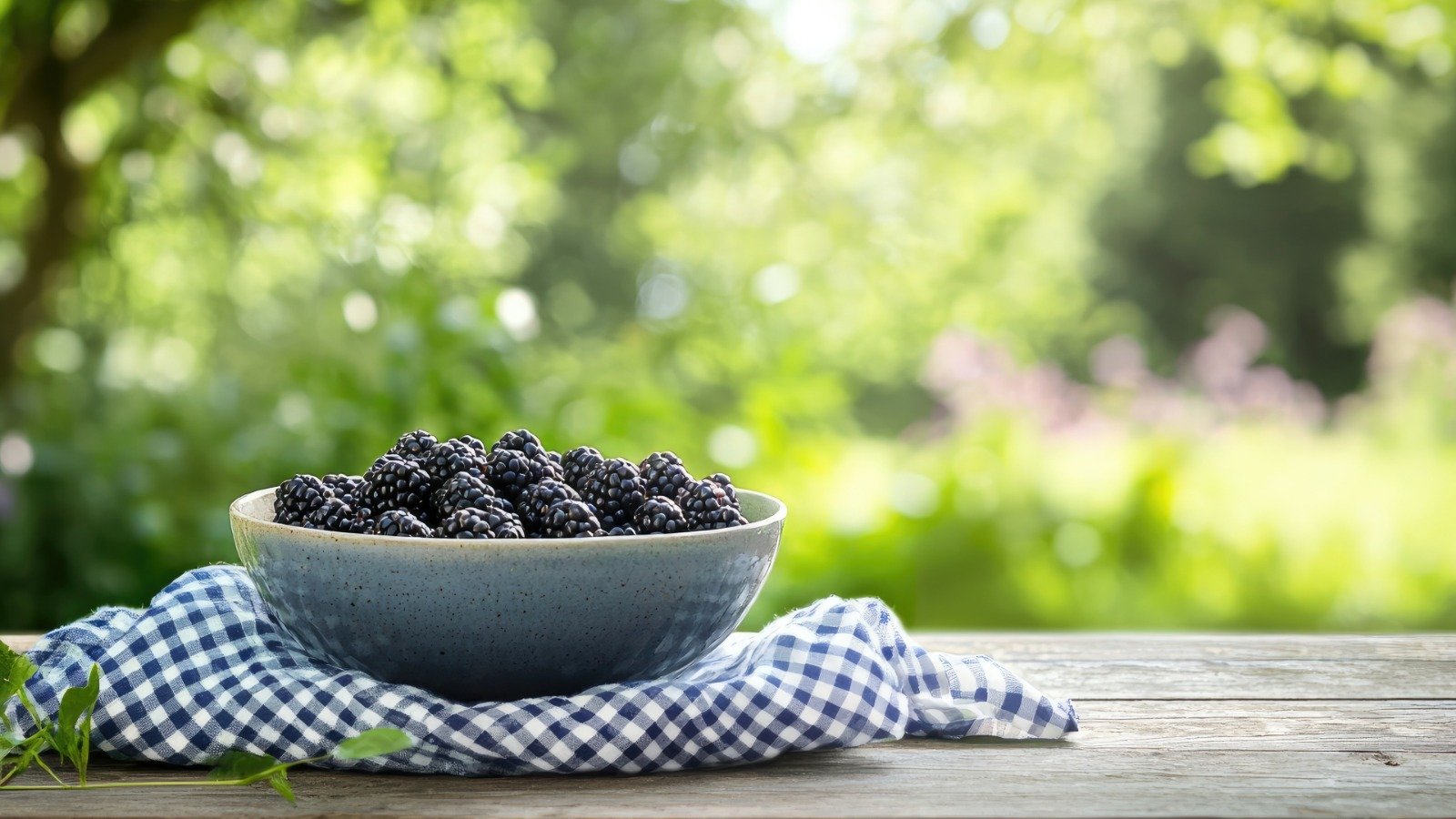 Intensidad natural para después del colegio